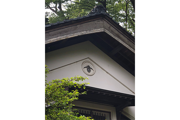 2023年5月18日　当院のロゴマークについて